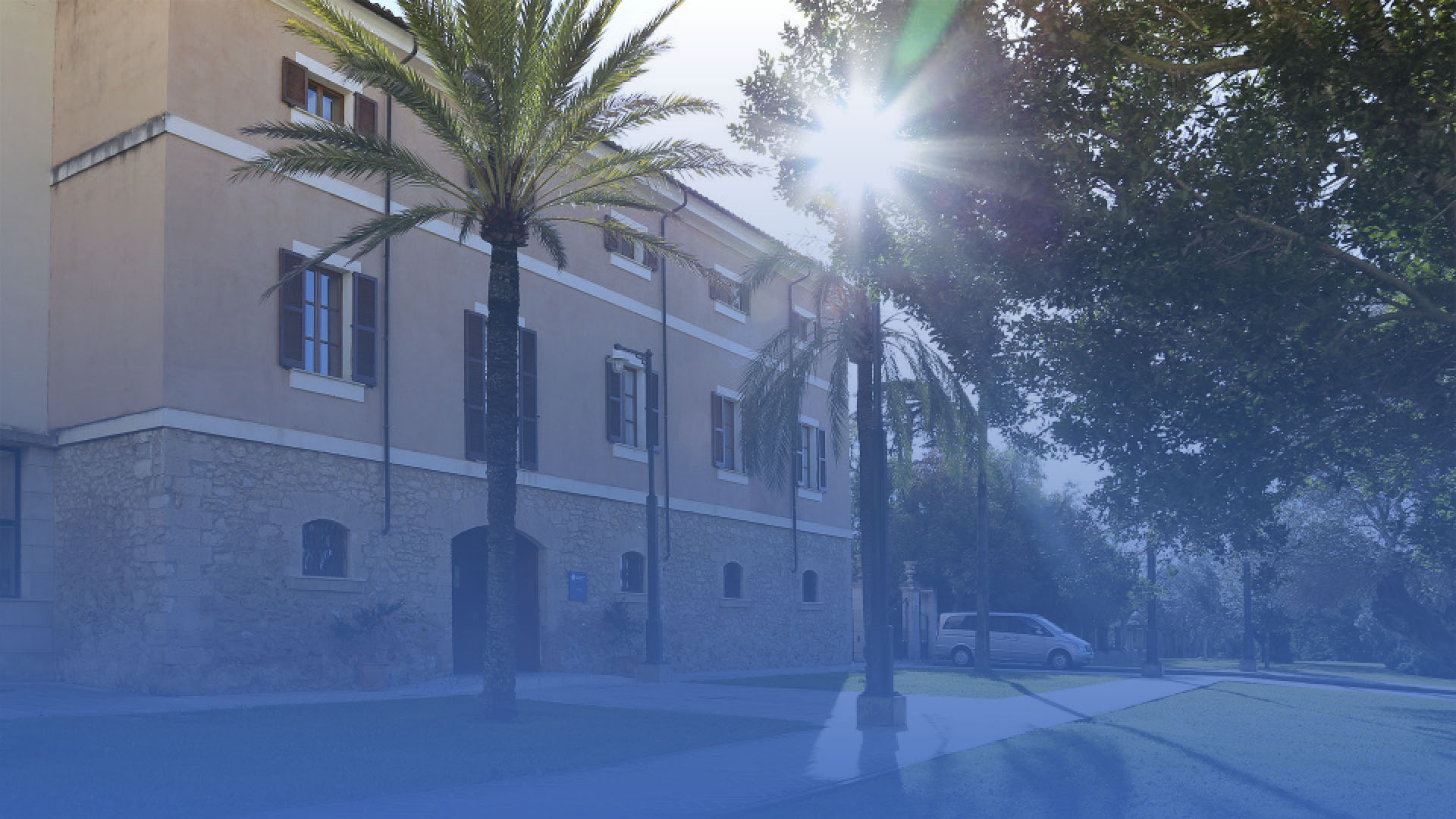 Institucional