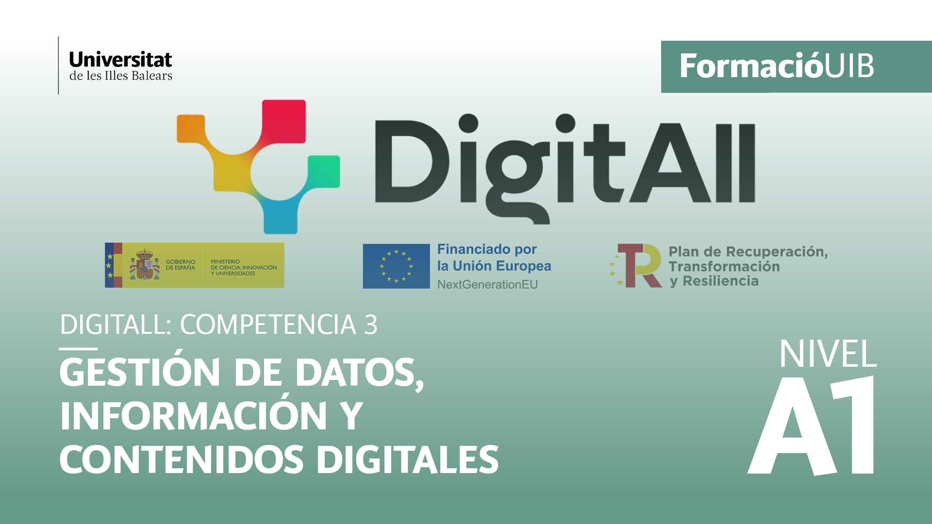 (Nivel A1) Introducción a la gestión de datos, información y contenidos digitales