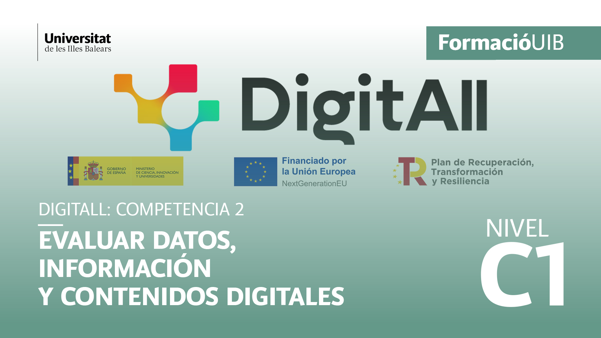 (Nivel C1) Introducción a la evaluación de datos, información y contenidos digitales