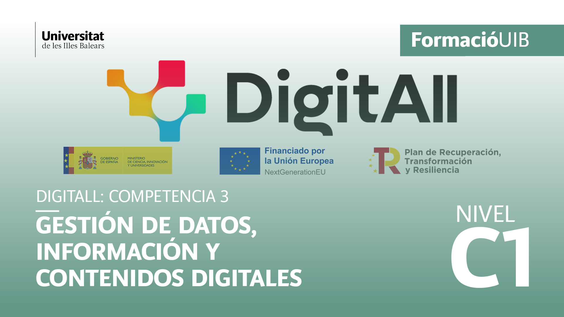 (Nivel C1) Introducción a la gestión de datos, información y contenidos digitales