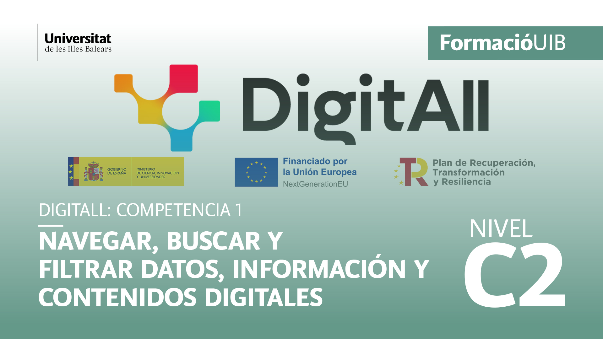 (Nivel C2) Introducción a la navegación, búsqueda y filtrado de datos, información y contenidos digitales