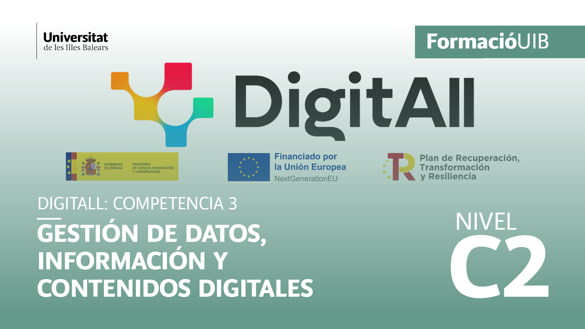 (Nivel C2) Introducción a la gestión de datos, información y contenidos digitales