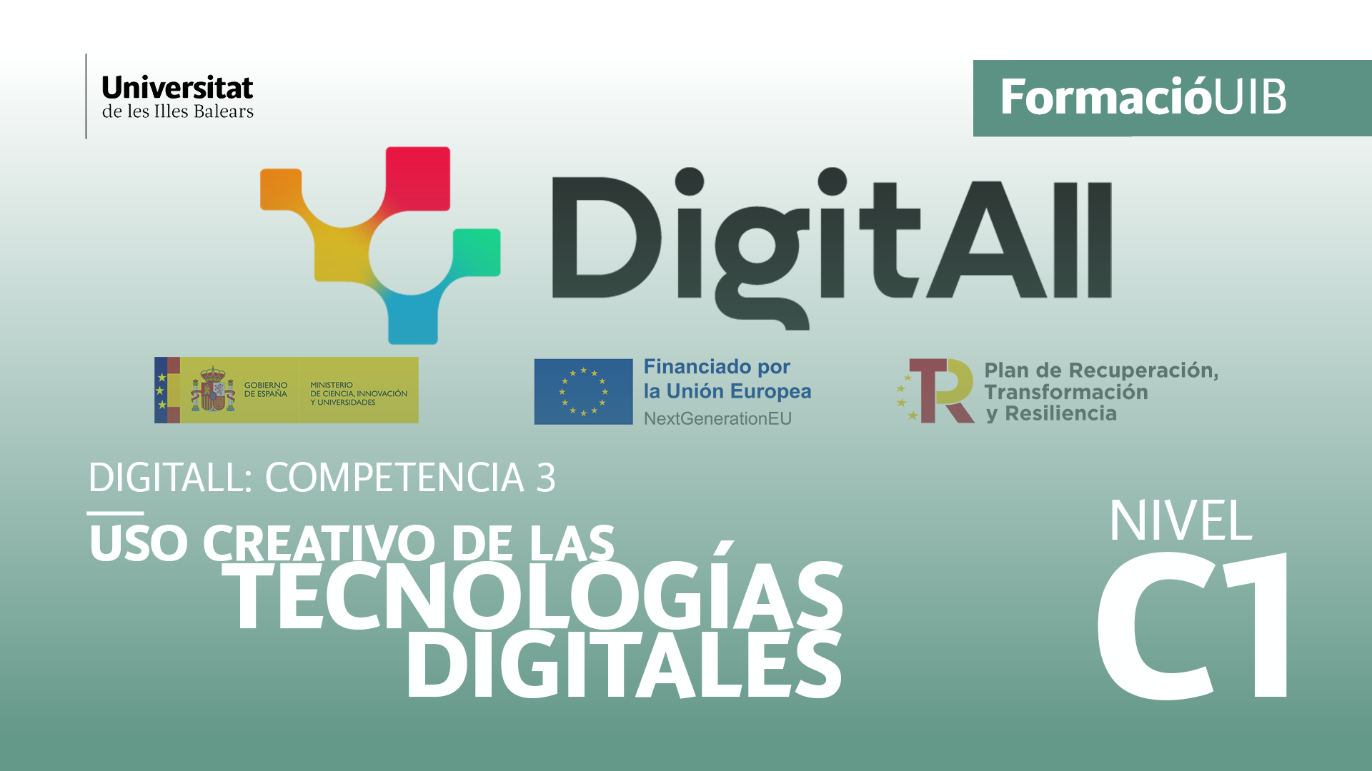 (Nivel C1) Introducción a la identificación de lagunas en las competencias digitales