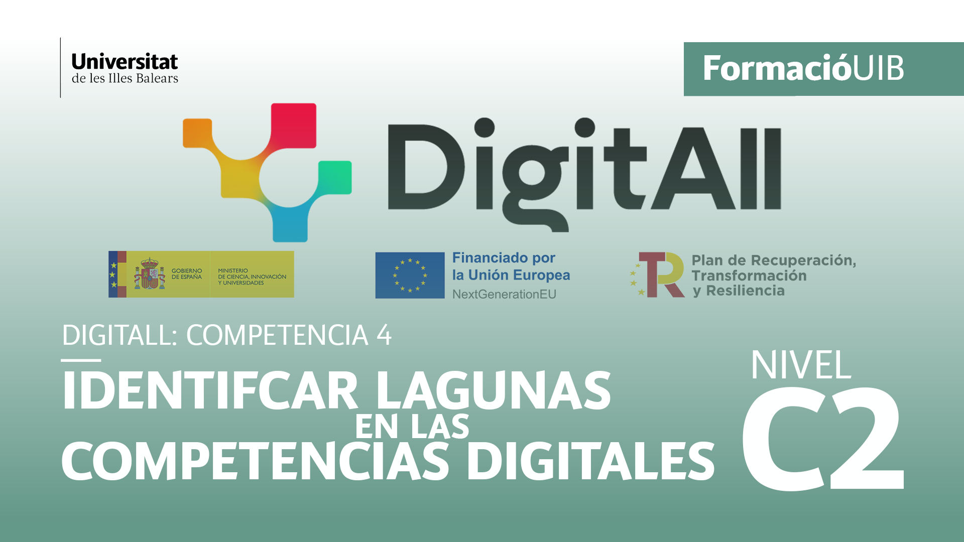 (Nivel C2) Introducción a la identificación de lagunas en las competencias digitales